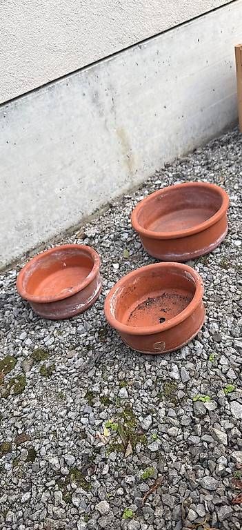 Pots de fleurs: Flache runde bluemntöpfe – D'occasion à Bern par fab_tx65