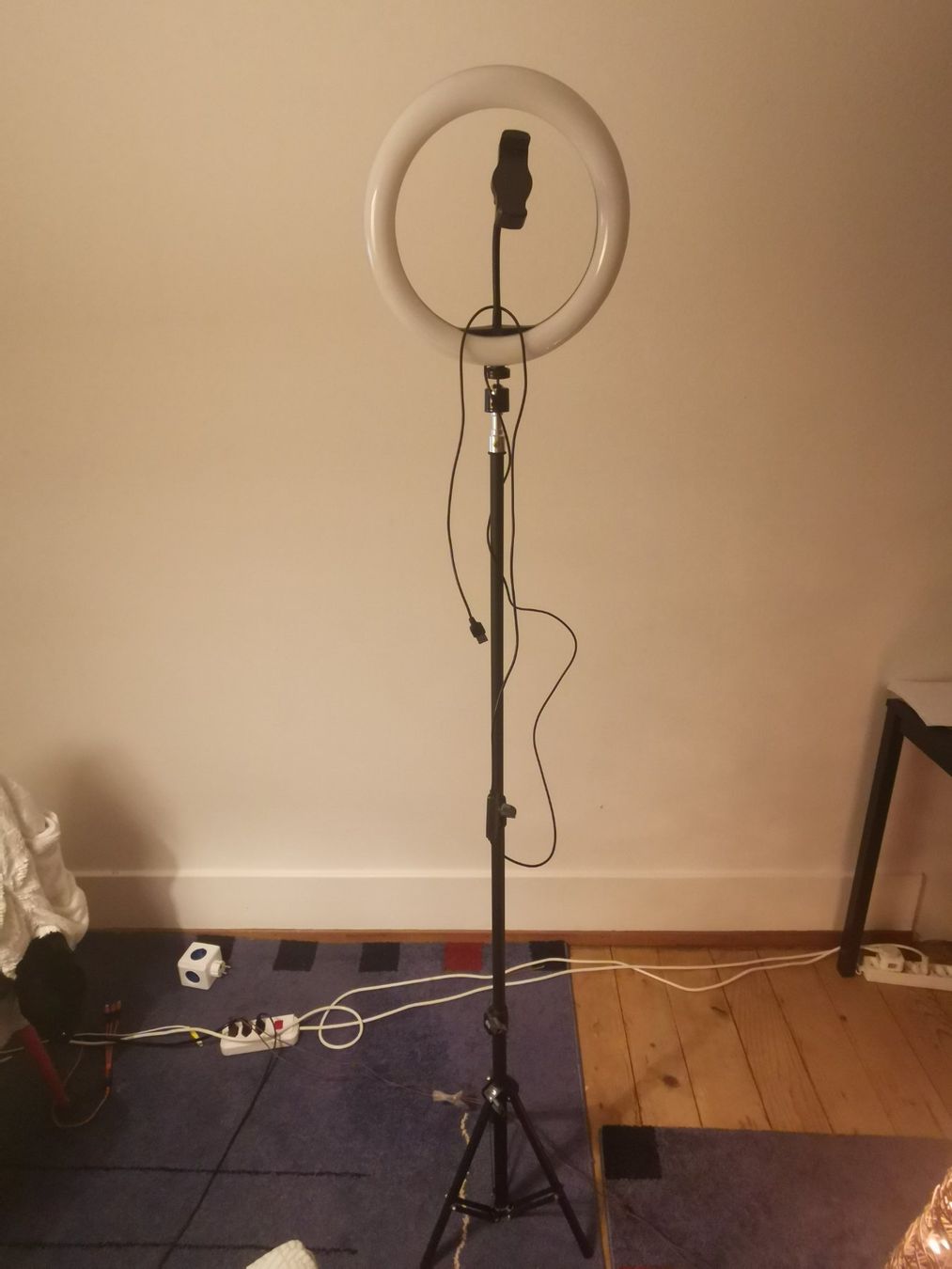 Treppiedi & Teste: Live streaming stand/light/Tripod – Usato da Bern venduto da cwa_p82l