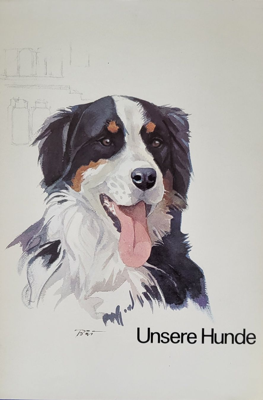 Libri: Unsere Hunde, Silvabuch – Usato da Adlikon b.Regensdf venduto da YvZi