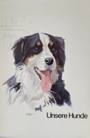 Unsere Hunde, Silvabuch