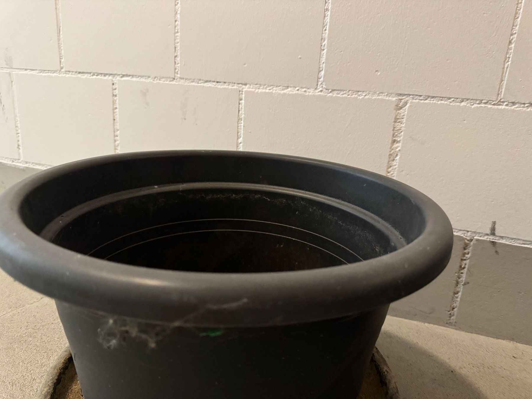 Pots de fleurs: 2 Blumentöpfe dunkelgrau mit Untersetzer – D'occasion à Gebenstorf par baumhaus64 1