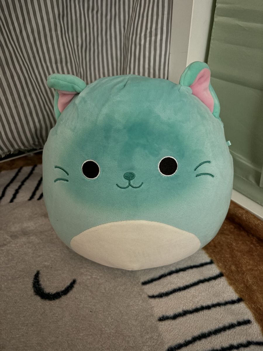 Squishmallows Giocattoli: Squishmallow katze – Usato da Rothrist venduto da broesmeli86