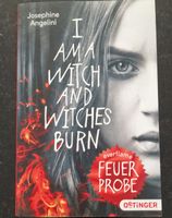 Everflame "Feuerprobe" - Josephine Angelini
