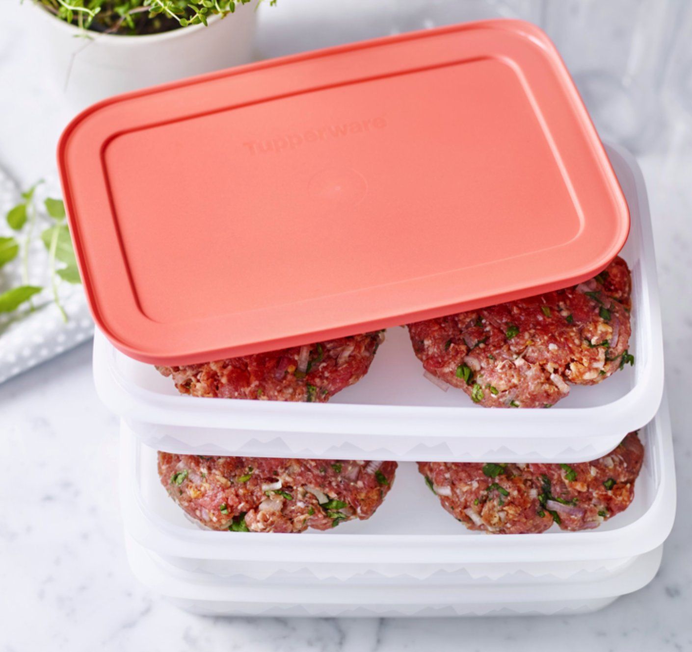 Contenitori & Simili: Tupperware - Freeze`N Fresh – Nuovo (secondo la descrizione) da Kaufdorf venduto da bambulka22 2