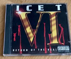 ICE T Return of the real