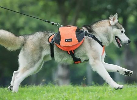 Hunde Rucksack Mittel  M / GROSS = L (Hund 20 bis 40KG)