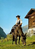 LES HAUDÈRES Jeune fille avec Mulet