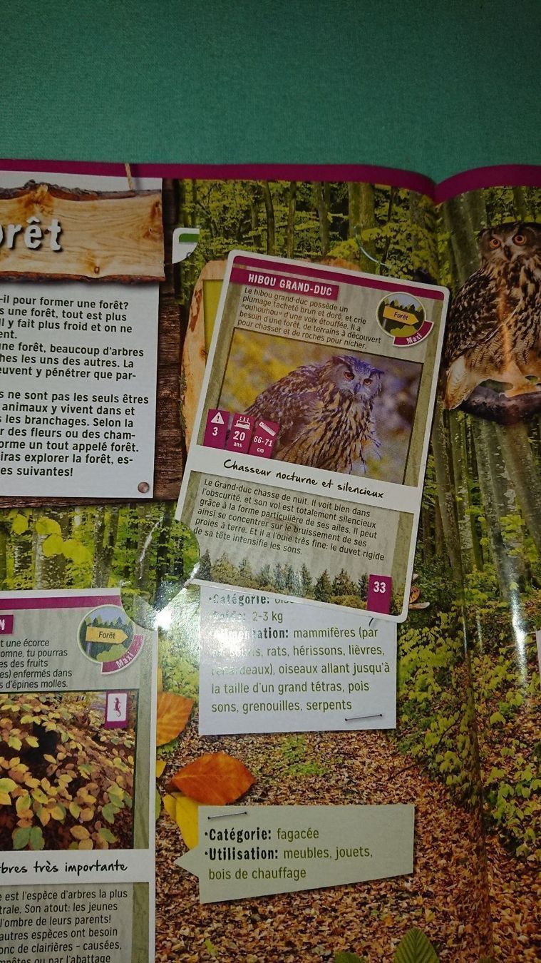 Libri: La Nature quelle Aventure – Usato da Cortaillod venduto da signep 3