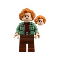 SW1526 Colonel Ward Star Wars LEGO (NEU)