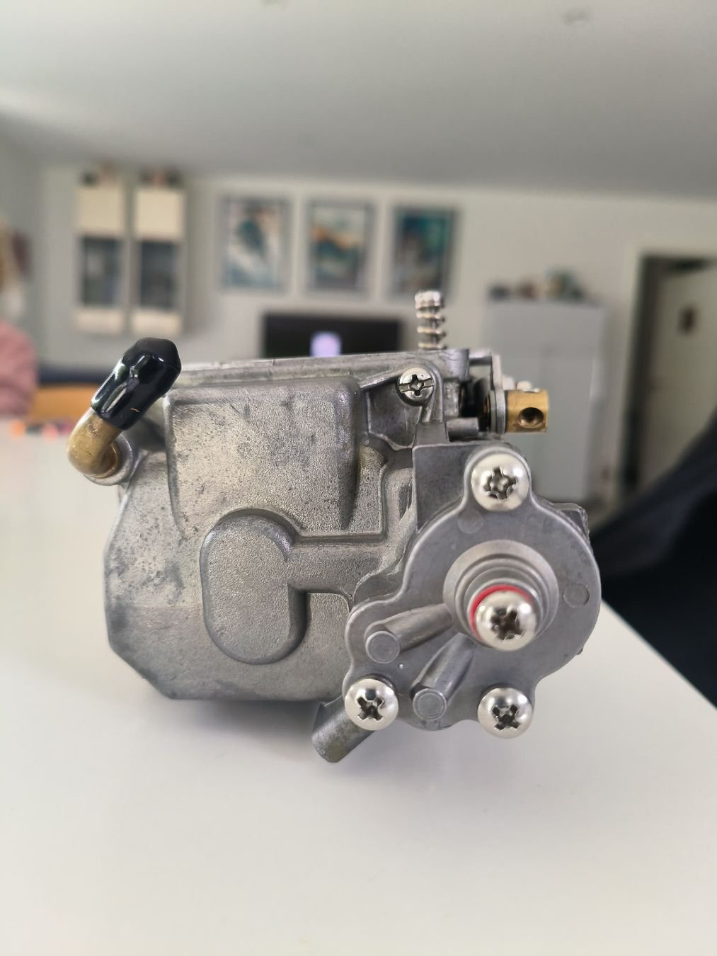 Mercury Motori: Revidierter Mercury original Vergaser 8ps – Usato da Schmitten FR venduto da Planktoni47 3