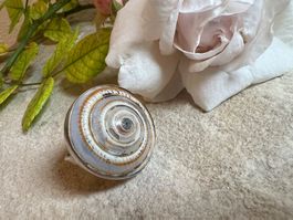 wow Muschel Schnecke Ring Silber one Size Natur Boho Style