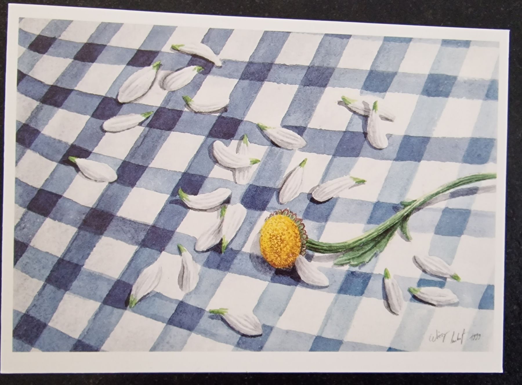 Cartoline: Kunstkarten  / Postkarten 15 Stk. – Nuovo e nell'imballaggio originale da Flawil venduto da Linna12