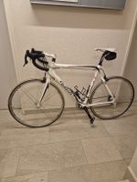 Rennrad Wilier Mortirolo XL 2009