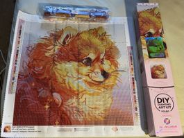 Diamond art club Diamond painting