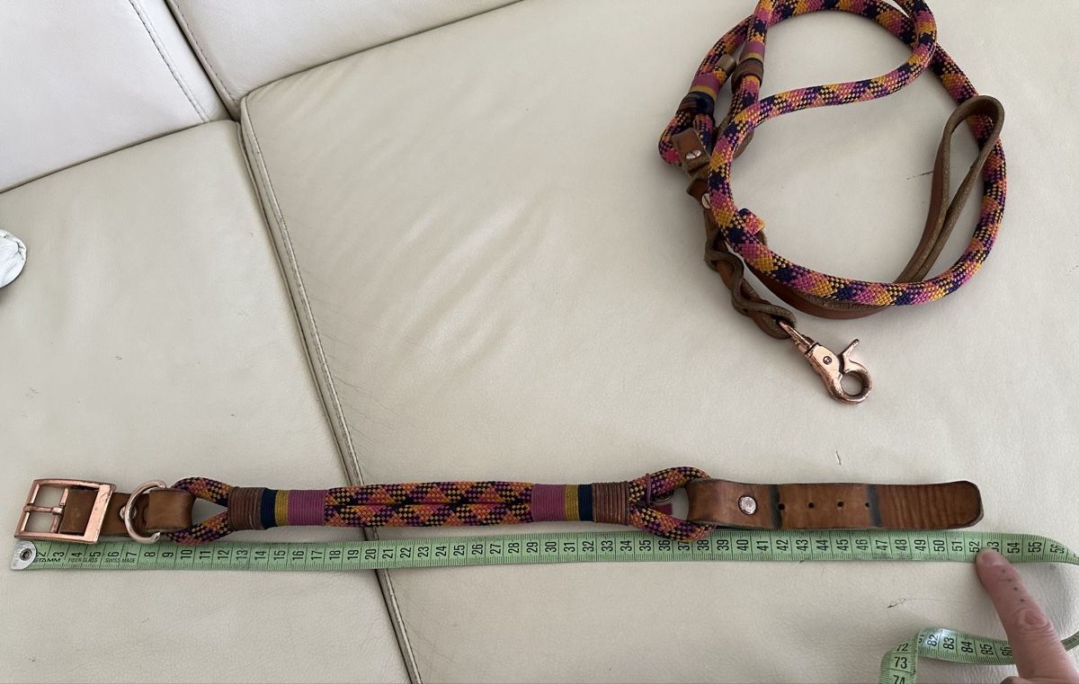 Leine & Halsband: Schönes Leinen und Halsband Set – Gebraucht aus Buttikon SZ von TamaraS01 1