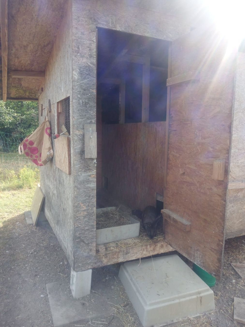 Unterstände: Grosser Kaninchenstall  – Gebraucht aus Alchenstorf von salom-e21 1