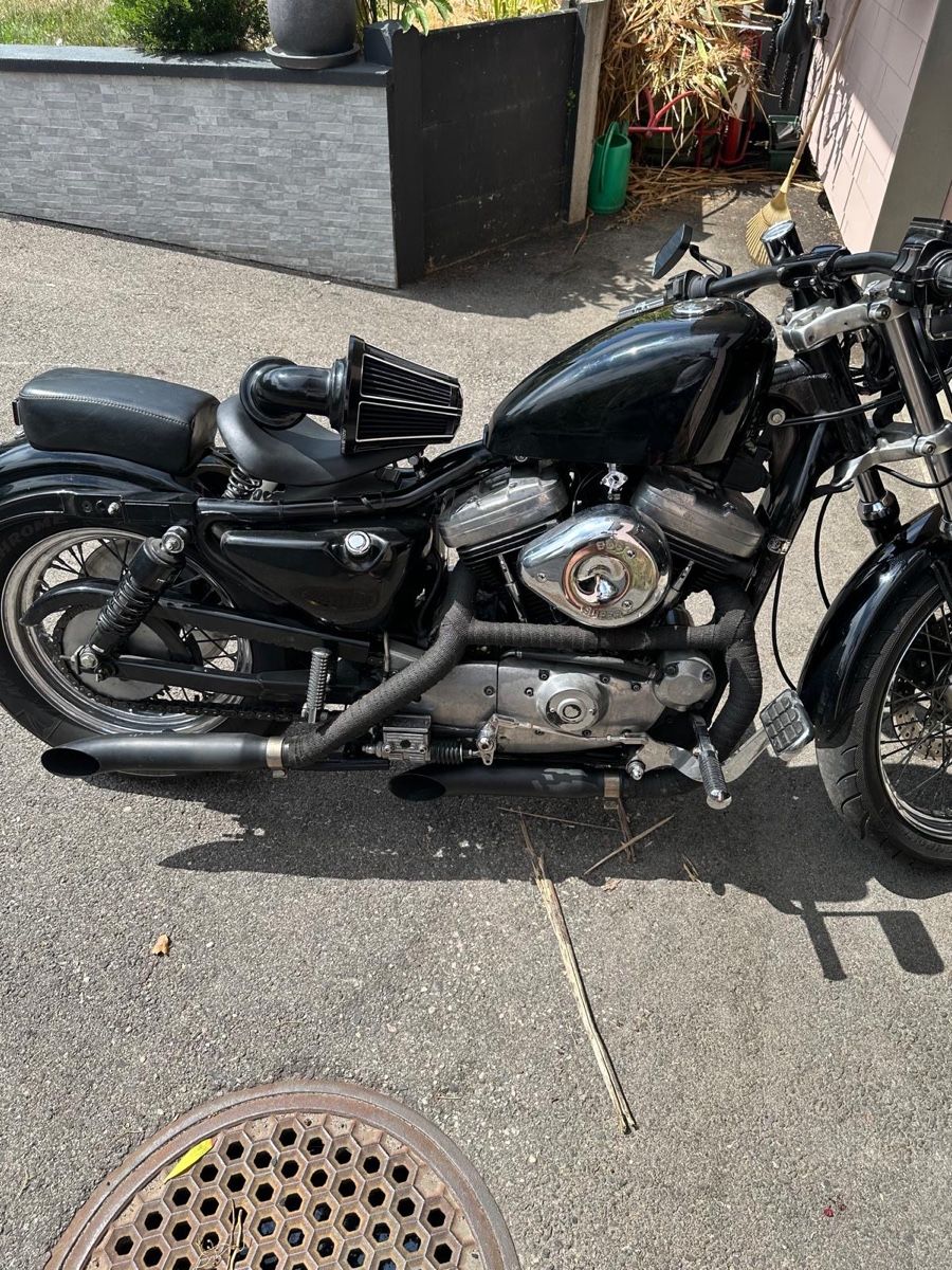Chopper: Harley Davidson sporster 1200 – Usato da Cortaillod venduto da stb_lz6s 3