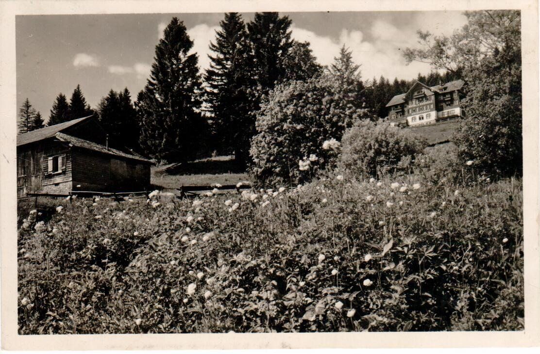 Cartoline postali: Buchserberg – Usato da Wolhusen venduto da Curver9