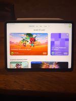iPad Pro 11 (M4) Space grey 1TB wifi+5G