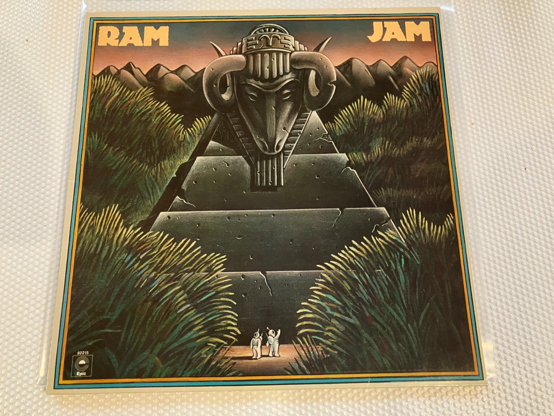 Dischi in vinile: Ram Jam – Usato da Aarwangen venduto da Jukebox3