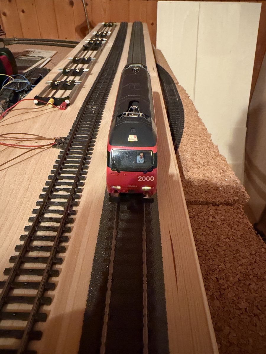 Hag Modellini di ferrovie: HAG Re 460 HO Lok WS digital – Usato da Regensdorf venduto da Basc 5