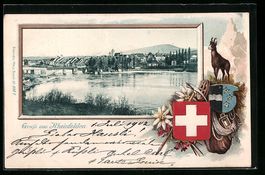 Rheinfelden, Stadtansicht mit Wasserpart