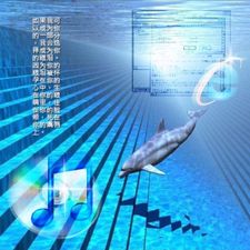 Profile image of saltraspy