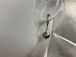 Tahitiperlen natürlich an Sterlingsilber Haken