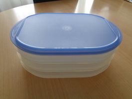 Tupperware Kleiner Traiteur Behälter für Aufschnitt