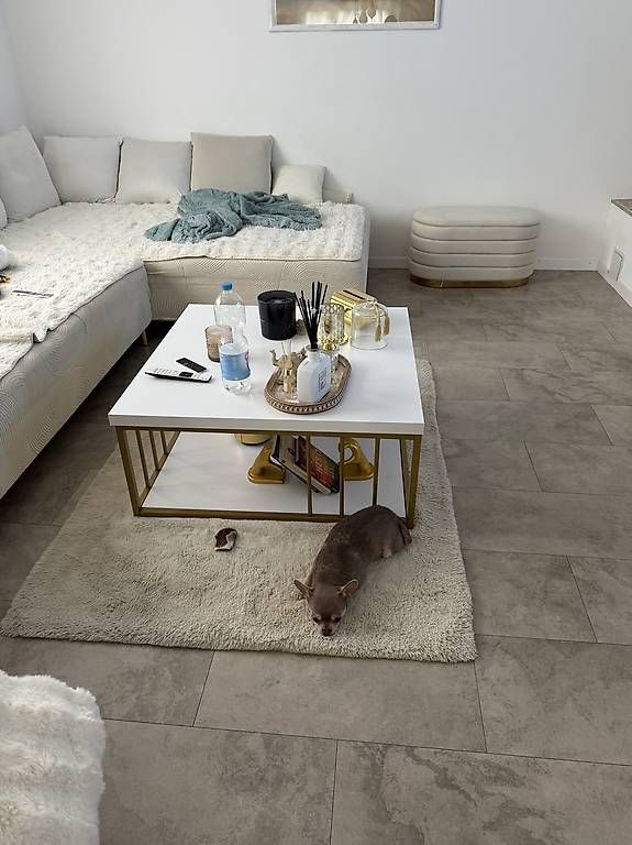 Tavoli: couchtisch weiss gold  – Usato da Adligenswil venduto da balboa5