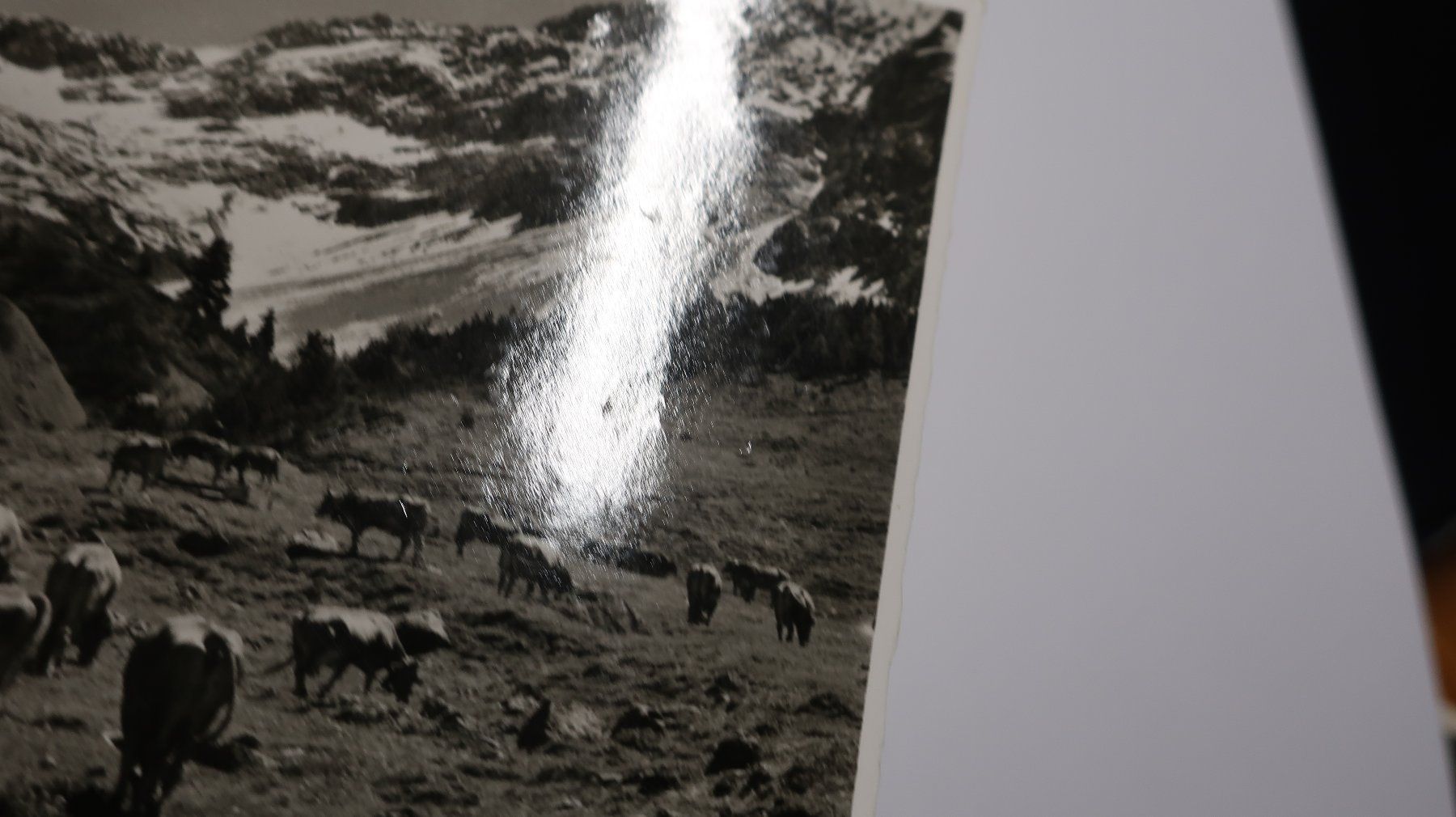 Cartoline postali: Inneralp bei Davos - Monstein mit Krummhörnli  1958 – Usato da Cormoret venduto da Pascalll2001 2
