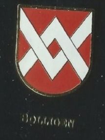 Placchette & Badge: Bolligen Gemeindewappen PIN – Usato da Zürich venduto da t24_de
