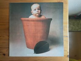 Barclay James Harvest Baby James Harvest UK  EMIHarvest 1973
