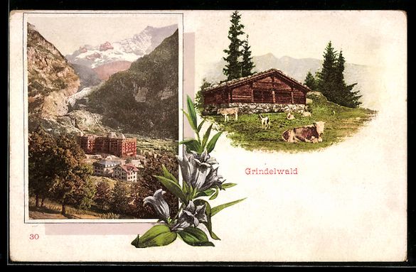 Cartoline postali: Grindelwald, Ortsansicht und Alp mit K – Usato da Berlin venduto da bartko-reher