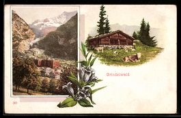 Grindelwald, Ortsansicht und Alp mit K