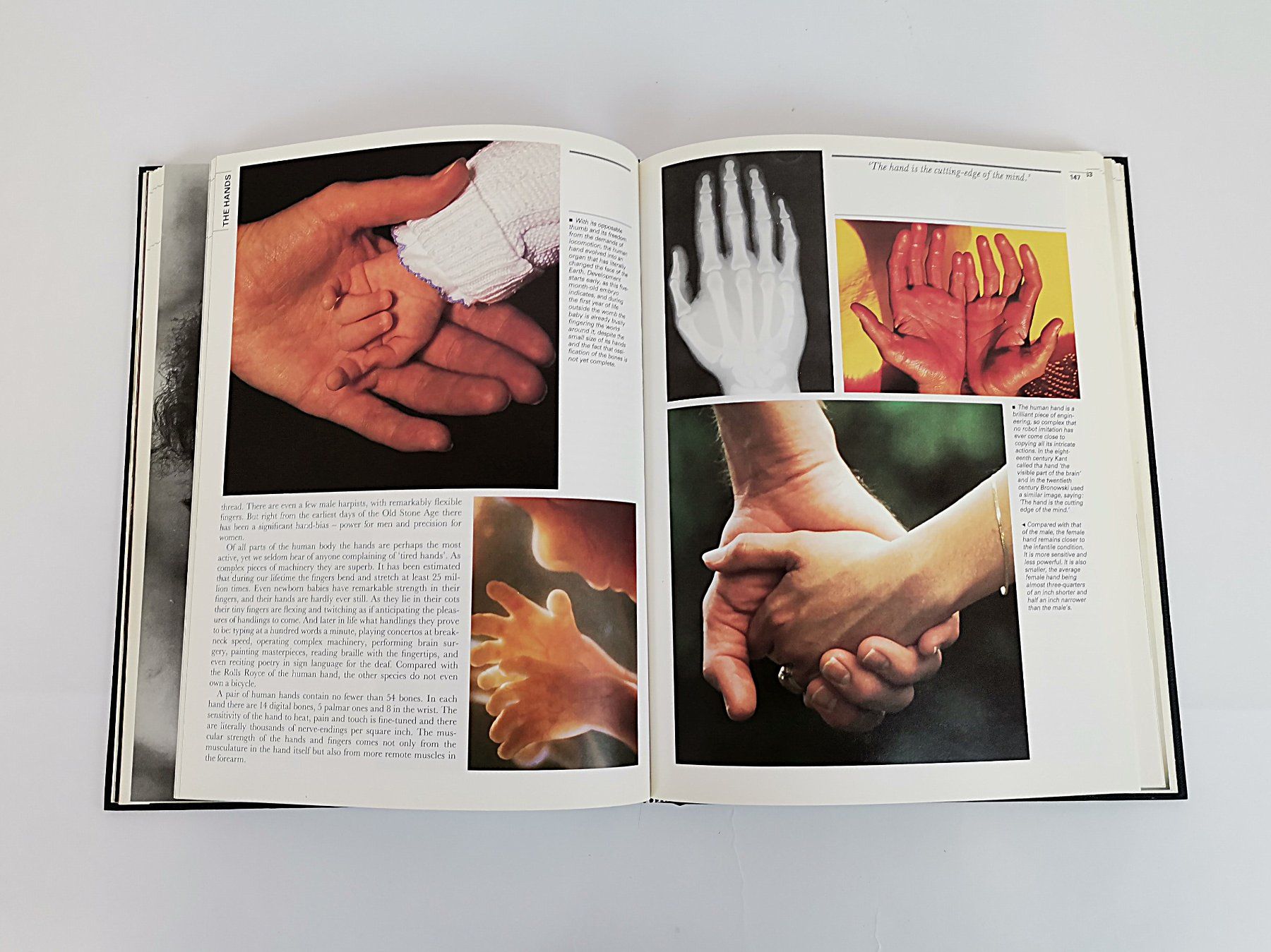 Libri: Buch - Bodywatching Desmond Morris – Usato da Schaffhausen venduto da Restwert_SH 6