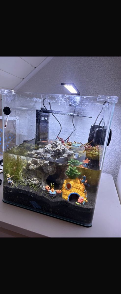 Aquarium: Nano Cube Complete Aquarium 30L plus Nano Heater konstant – Gebraucht aus Geroldswil von quatschi0