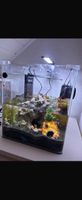 Nano Cube Complete Aquarium 30L plus Nano Heater konstant
