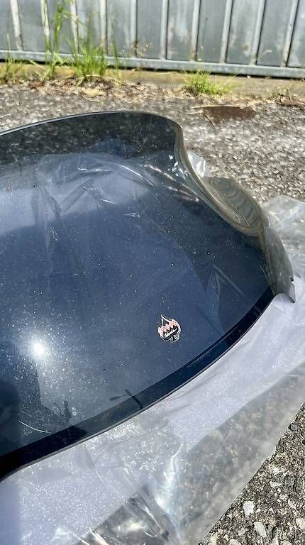 Harley-Davidson Tutti i ricambio per moto: Cupolino Harley Turing – Usato da Brè sopra Lugano venduto da micheleschmid 1