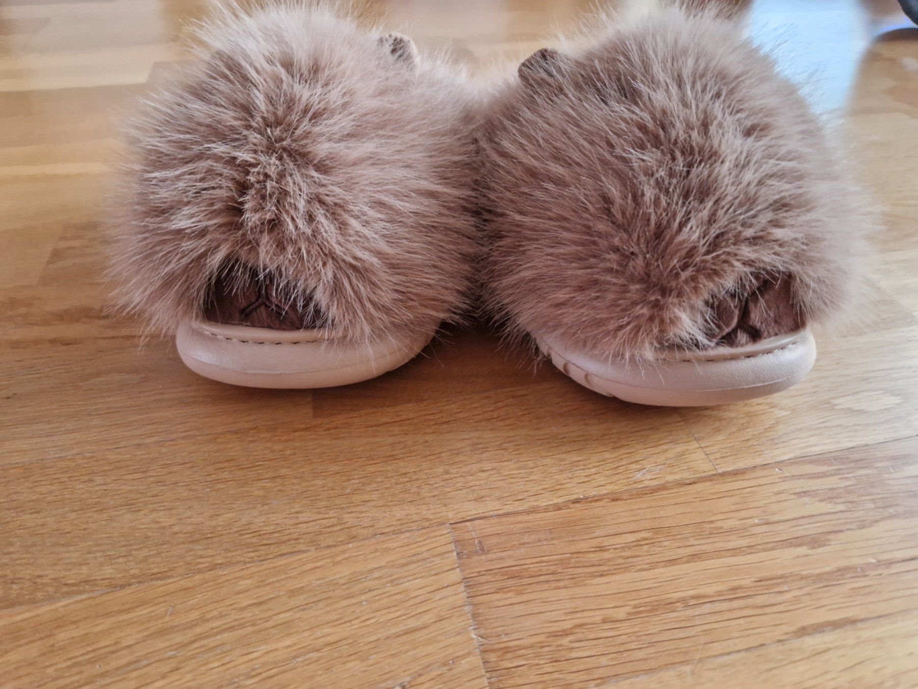 Scarpe da uomo: Capybara Hausschuhe, neuwertig, Gr. 34-35 – Nuovo (secondo la descrizione) da Buchs Sg venduto da Valedi 1