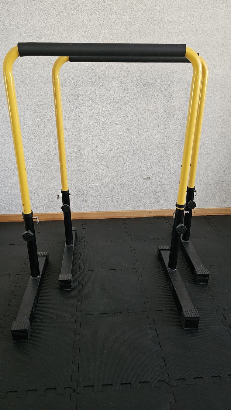 Hometrainer: Dips Barren Trainingsstation – Usato da Zürich venduto da dan_2sf7 1