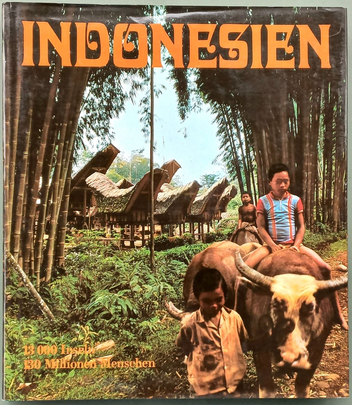 Libri: Buch - Indonesien - Mondo-Verlag – Usato da Niederuzwil venduto da lubimaja