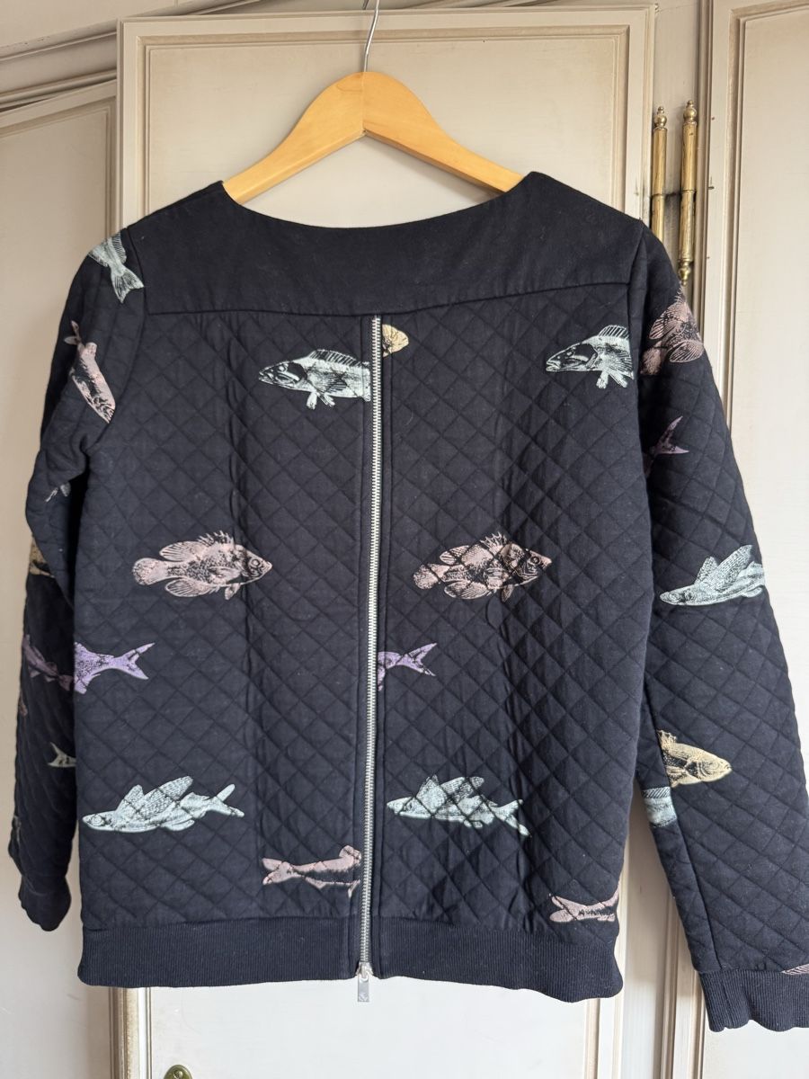 Maison Scotch Maglioni & Felpe: Maison Scotch Amsterdam Pulli, Gr. 1 – Usato da Solothurn venduto da coko01 1