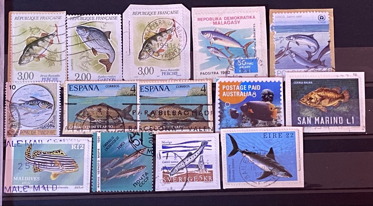 Tutti i francobolli: Timbres thème Poisson – Usato da Petit-Lancy venduto da Solcarm 1