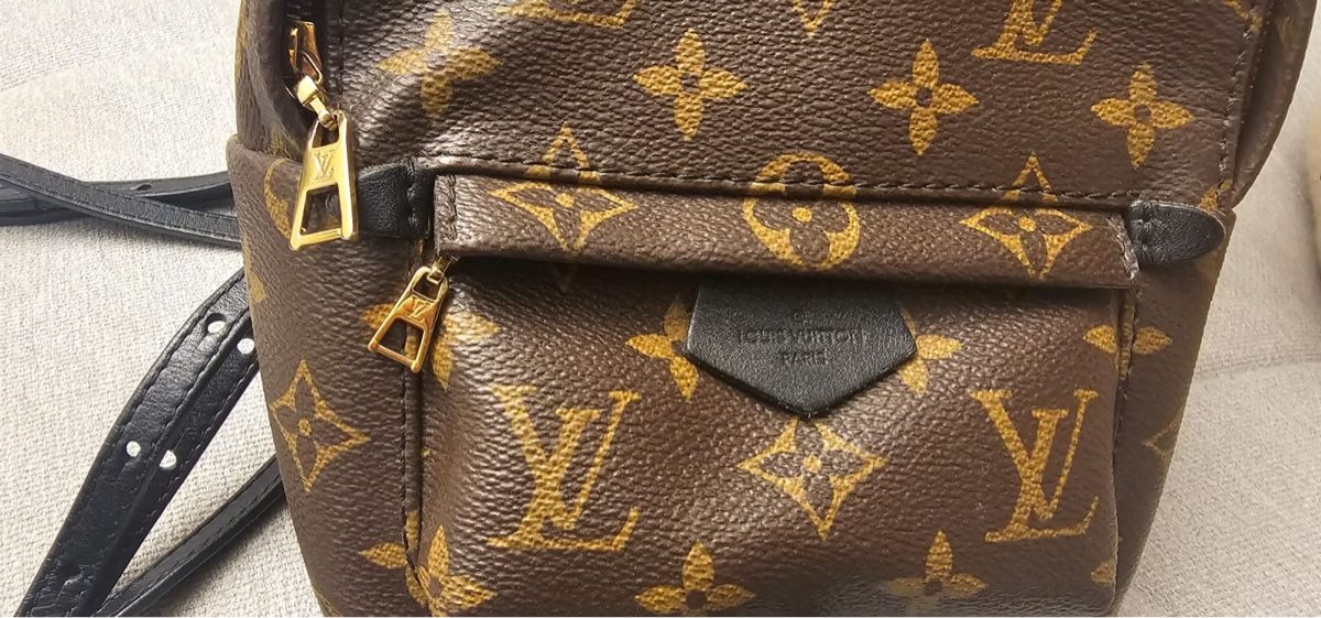 Louis Vuitton Rucksäcke: Louis Vuitton Palm Springs Mini Rucksack – Gebraucht aus Wallisellen von maksim8880 7