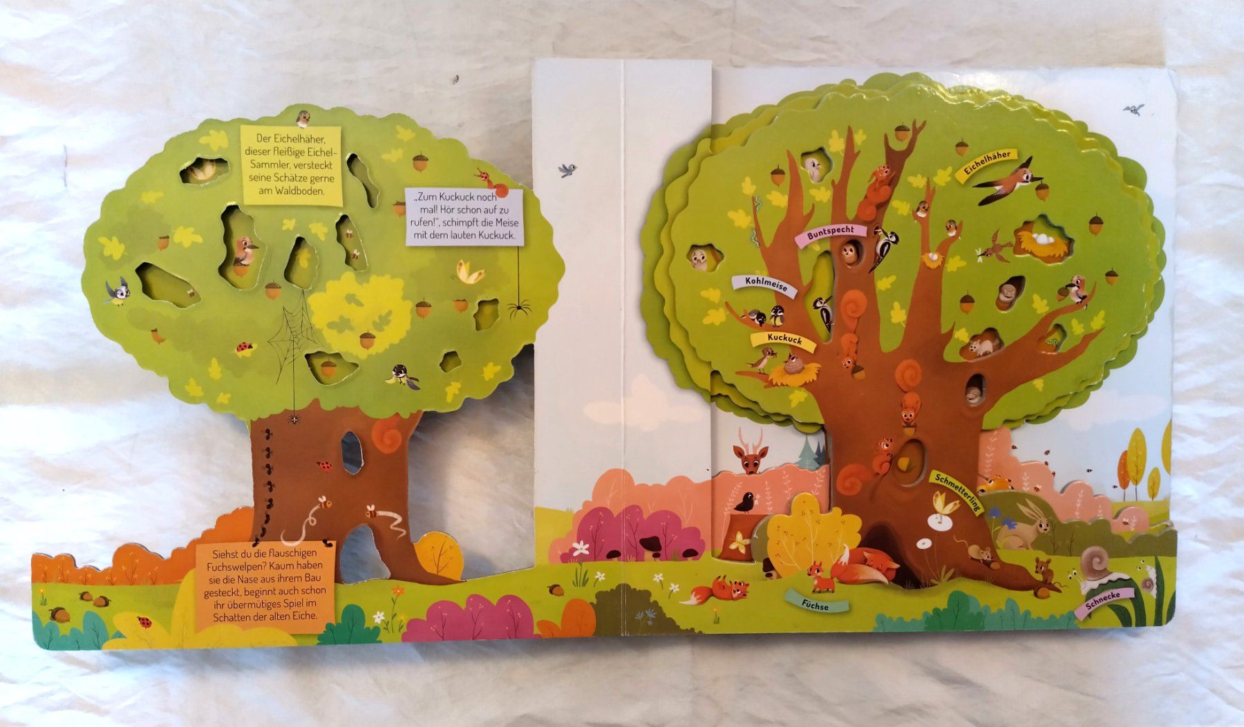 Bücher: Der Baum / Fensterpappenbuch ab Fr. 8.- – Gebraucht aus Bellach von JingleJerry 2