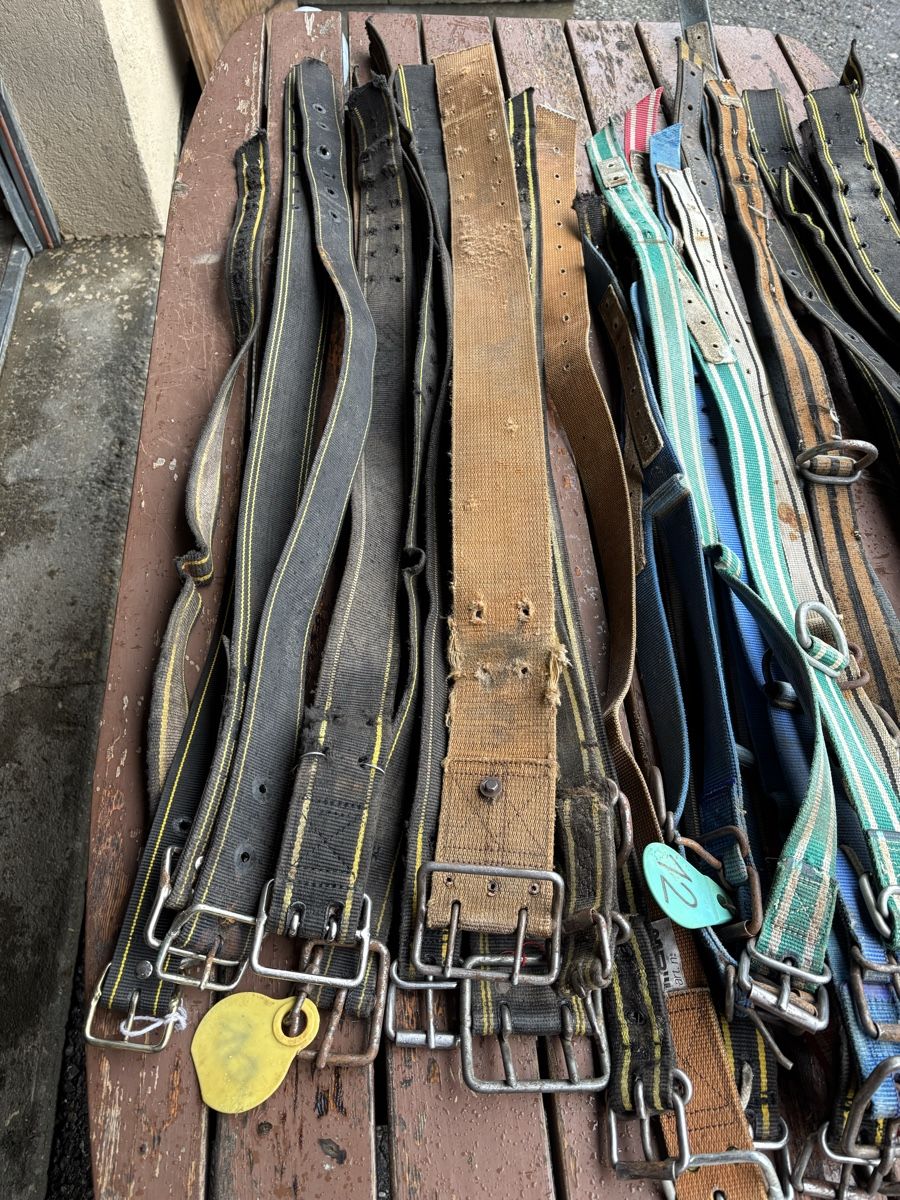 Glocken & Treicheln: 35 Stk. Kuhhalsbänder/ Nylonriemen – Gebraucht aus Schangnau von Roseggli82 1