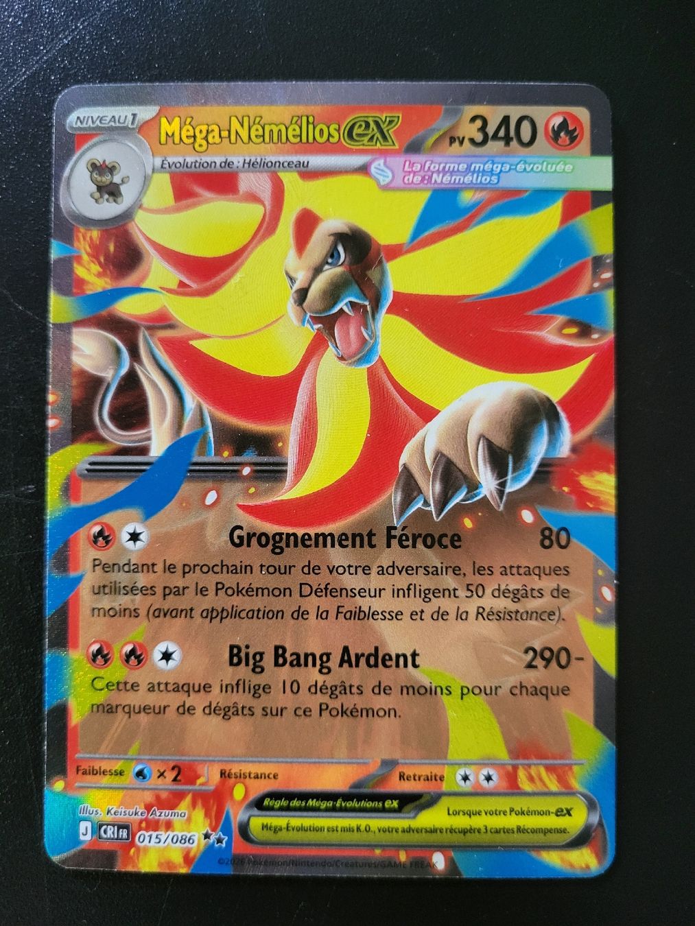 Pokémon Carte collezionabili: Méga Némelios ex Chaos ascendant FR  – Nuovo (secondo la descrizione) da St-Sulpice VD venduto da cel_ysf7