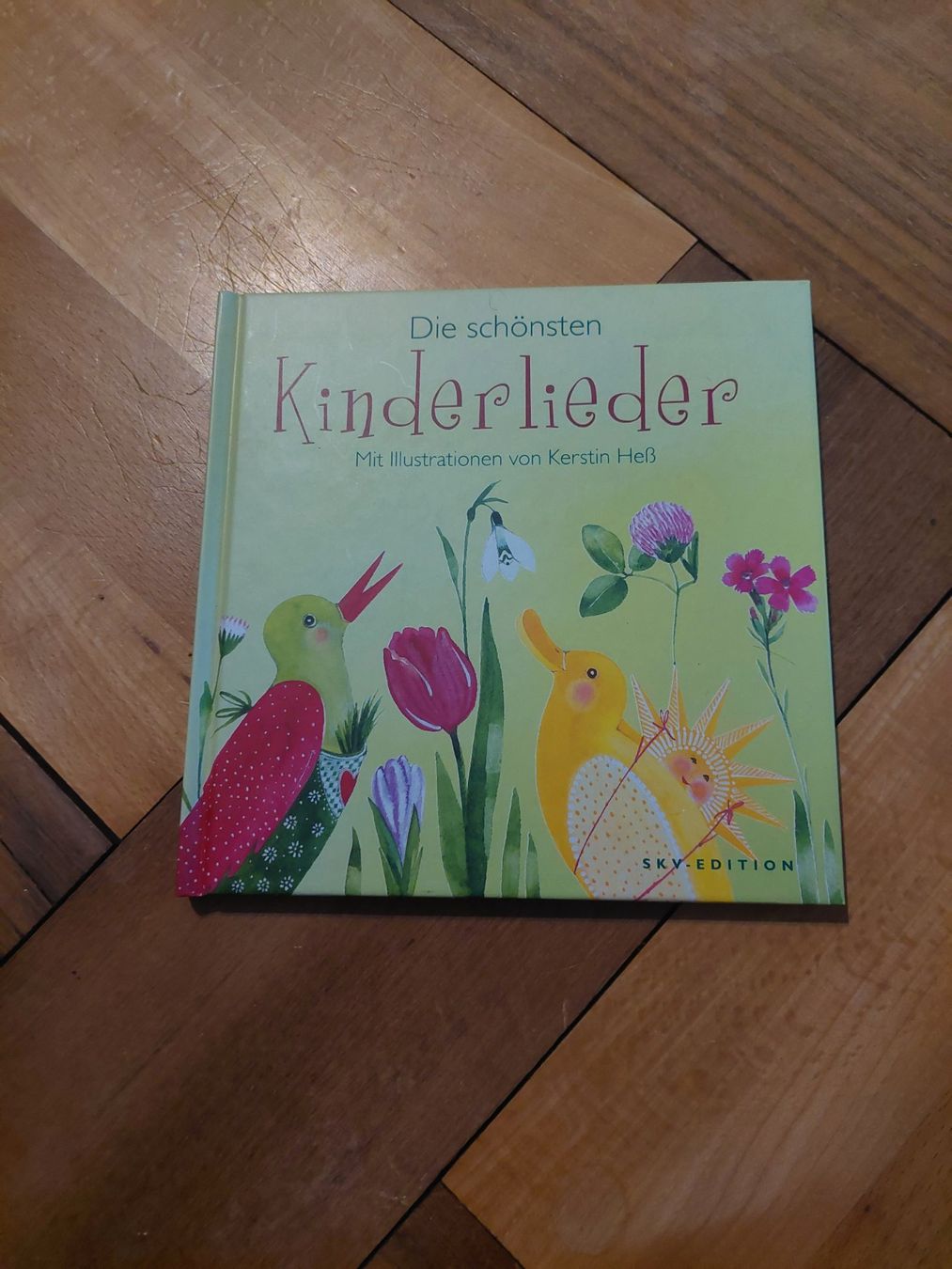 Libri: Geschenkbuch Kinderlieder von Kerstin Hess, SKV-Edition – Nuovo (secondo la descrizione) da Beckenried venduto da Havacola