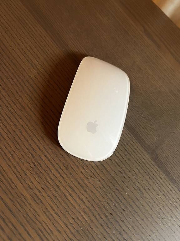 Mouse: Apple Magic Mouse – Usato da Unterägeri venduto da Check_2 2
